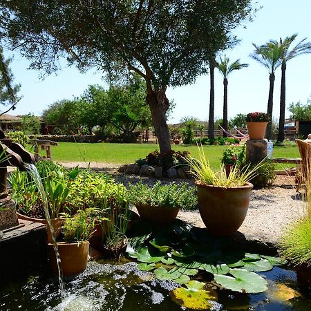 Agroturismo Finca Sant Blai Campos  Luaran gambar