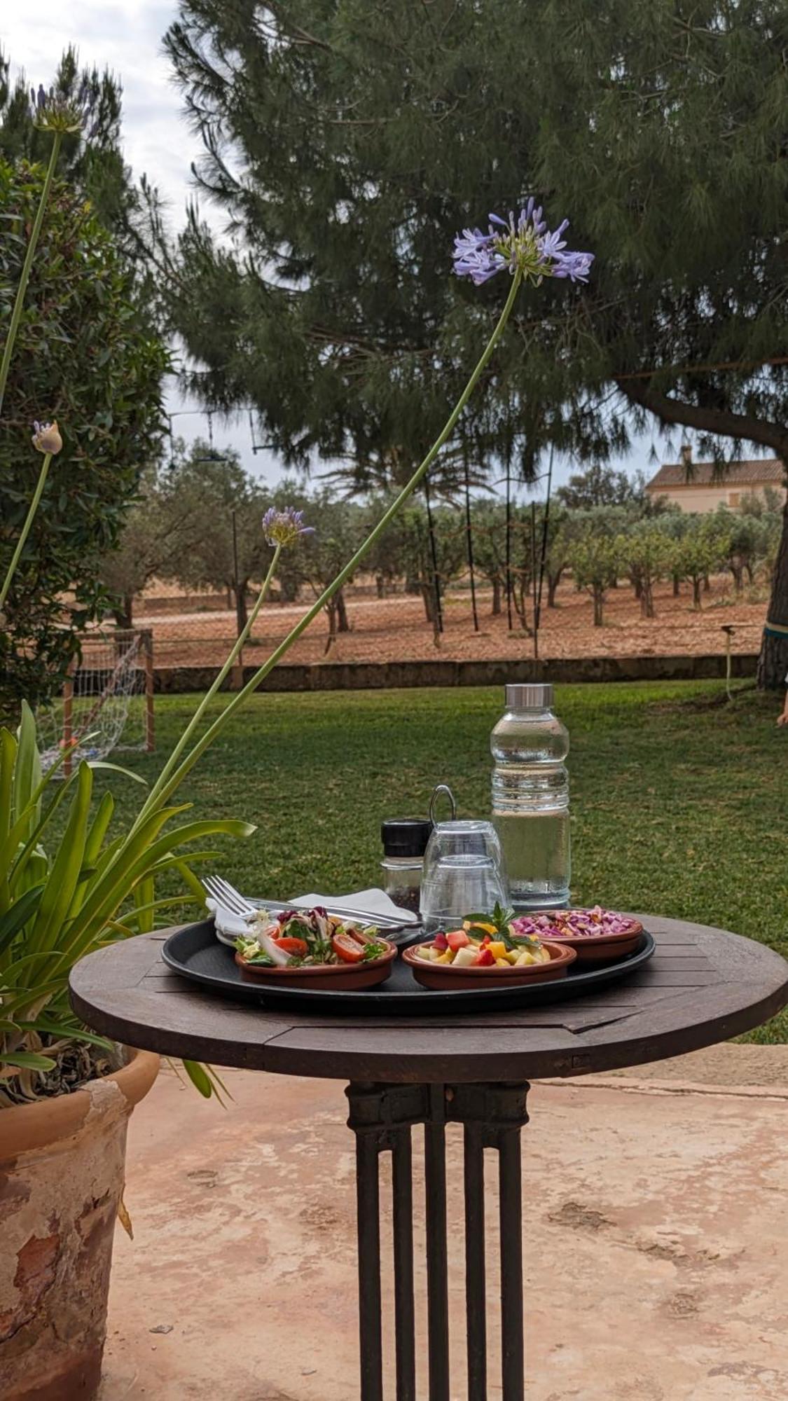 Agroturismo Finca Sant Blai Campos  Luaran gambar