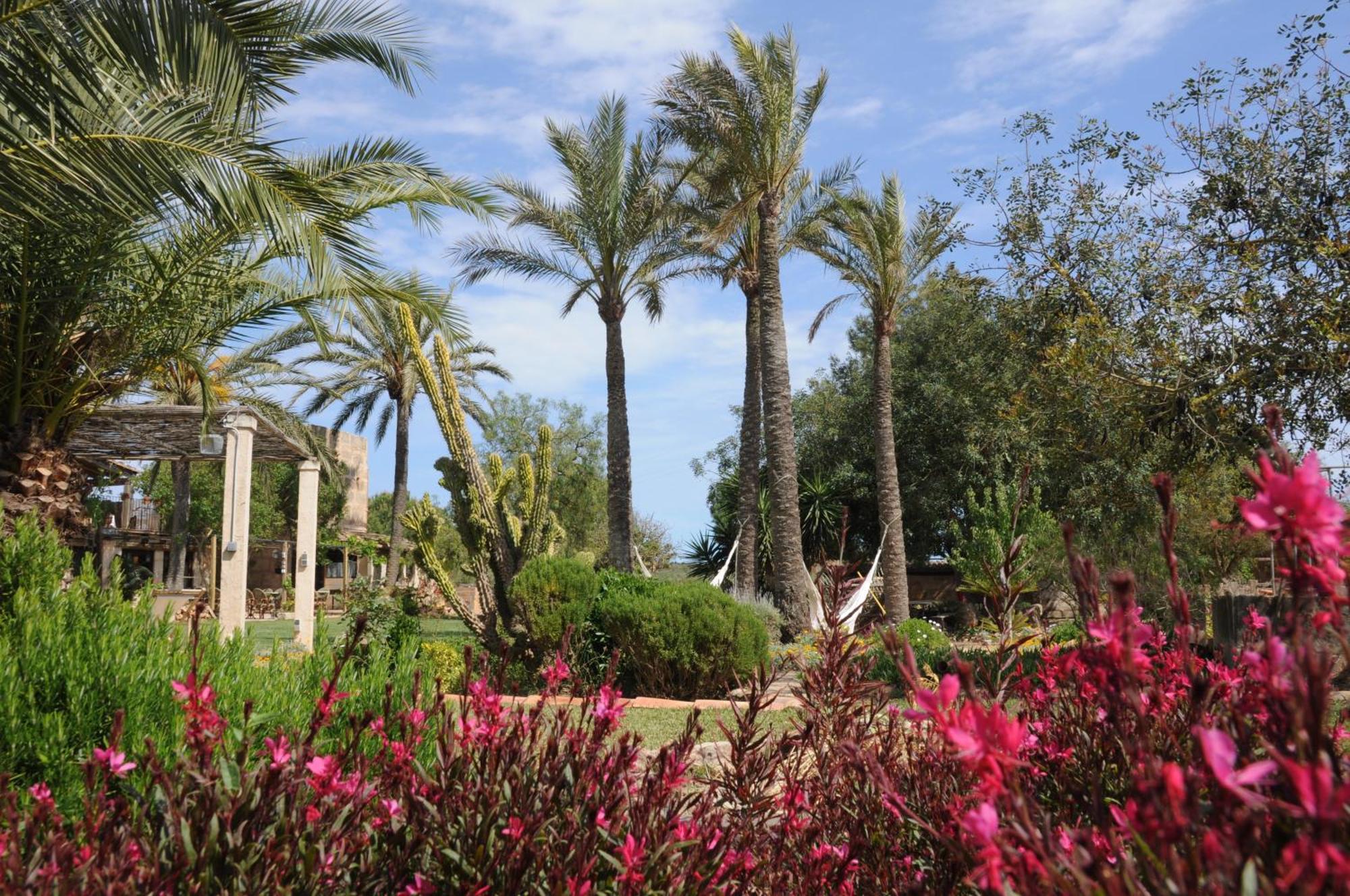 Agroturismo Finca Sant Blai Campos  Luaran gambar