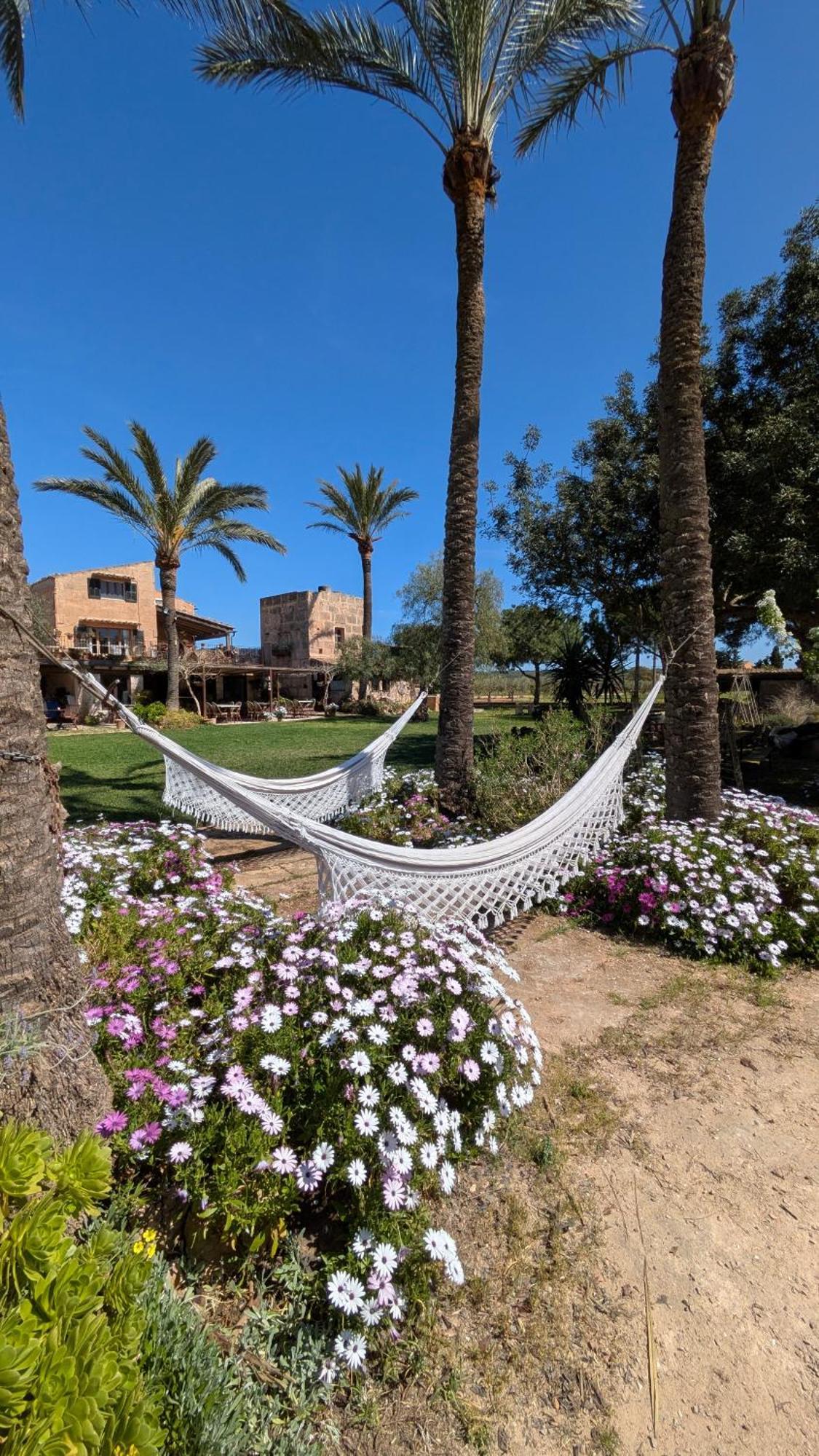Agroturismo Finca Sant Blai Campos  Luaran gambar