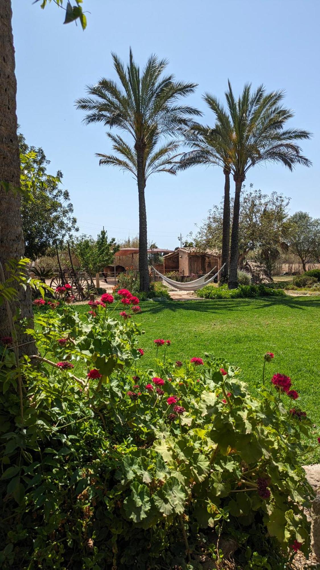 Agroturismo Finca Sant Blai Campos  Luaran gambar