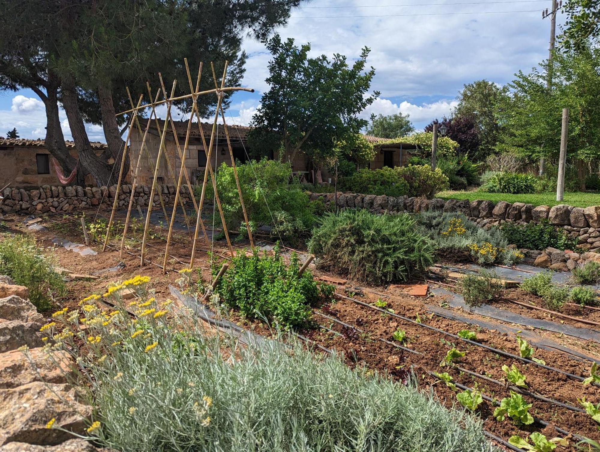 Agroturismo Finca Sant Blai Campos  Luaran gambar