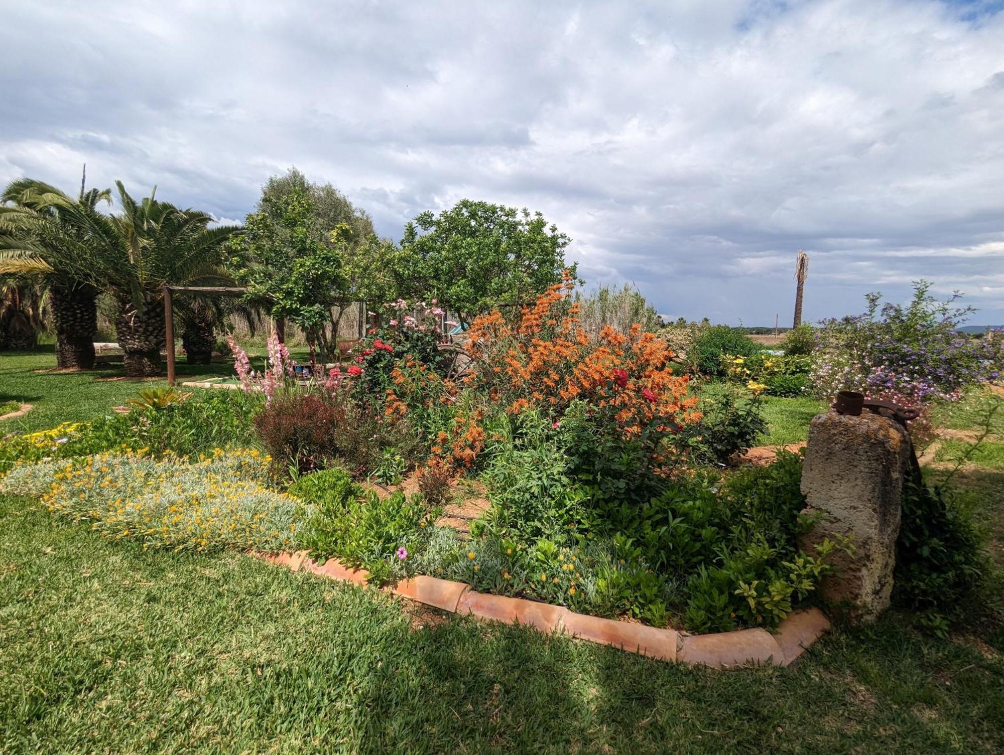 Agroturismo Finca Sant Blai Campos  Luaran gambar