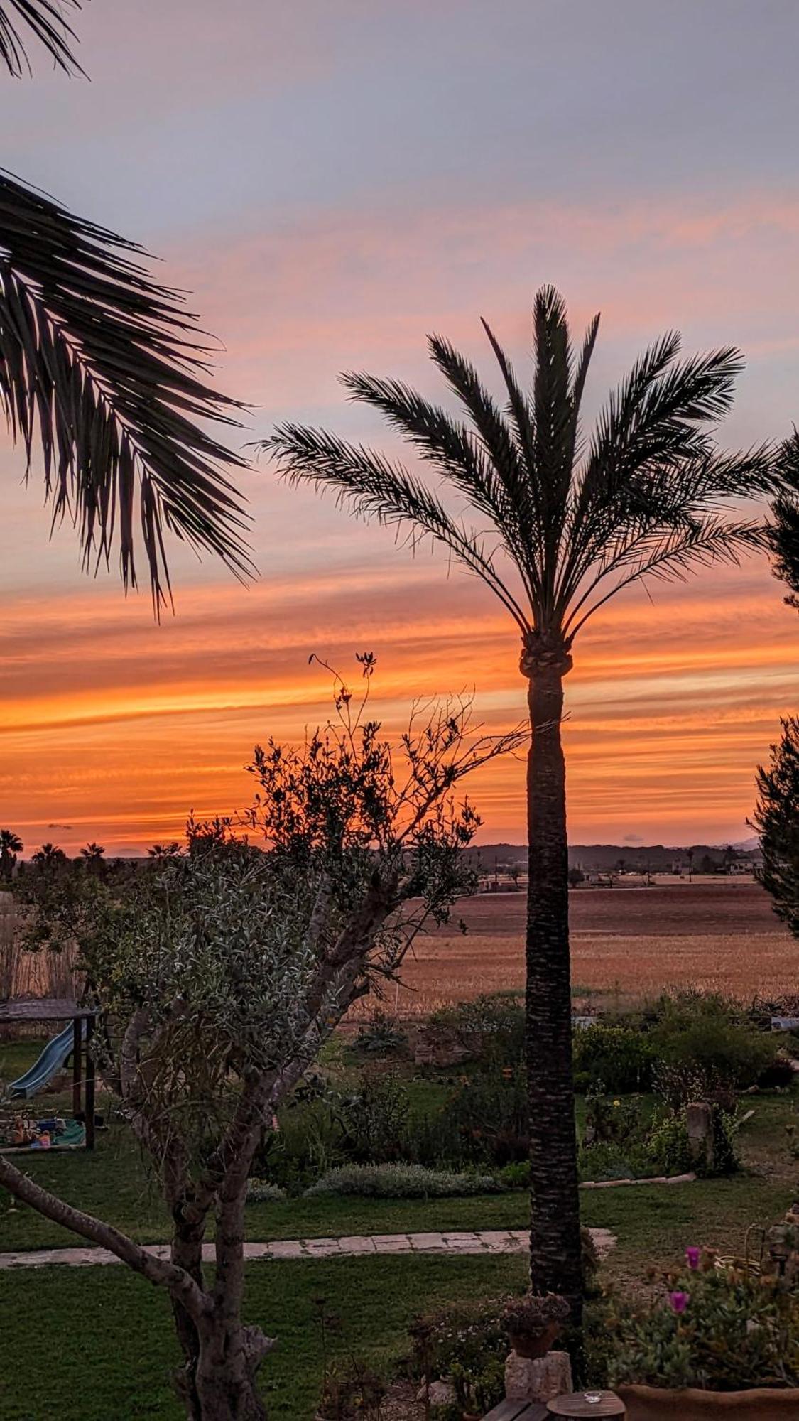 Agroturismo Finca Sant Blai Campos  Luaran gambar