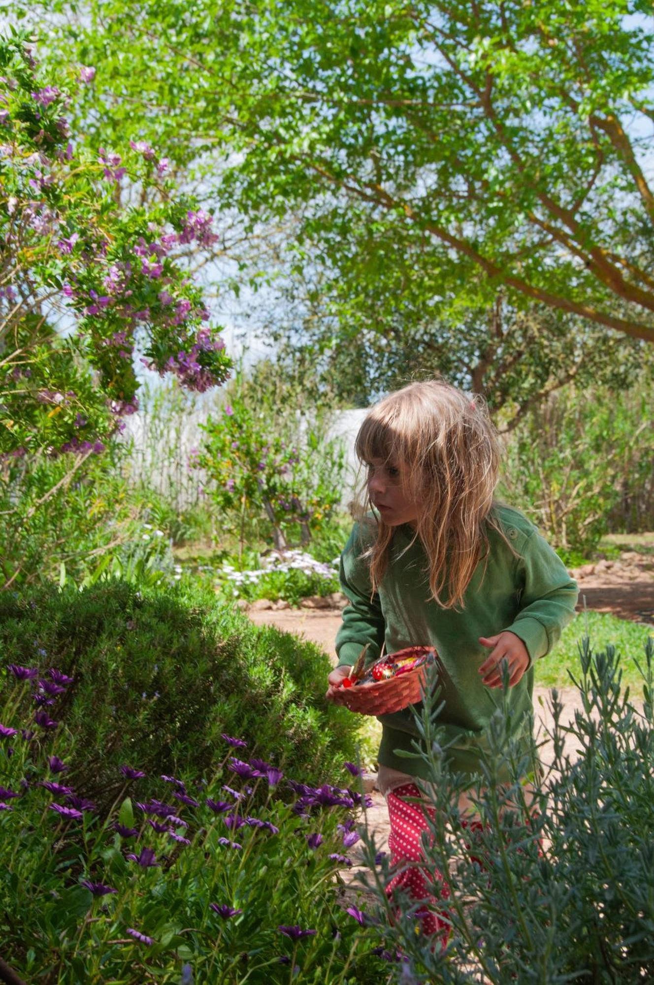 Agroturismo Finca Sant Blai Campos  Luaran gambar