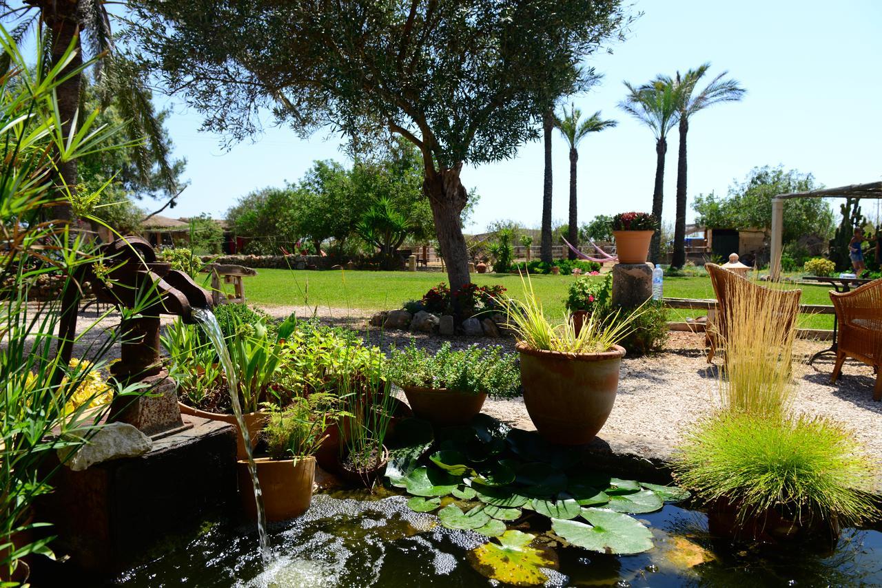 Agroturismo Finca Sant Blai Campos  Luaran gambar